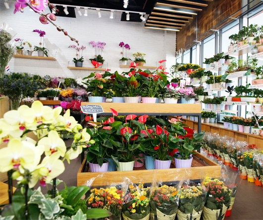 Fresh flower shops in Phu My Hung