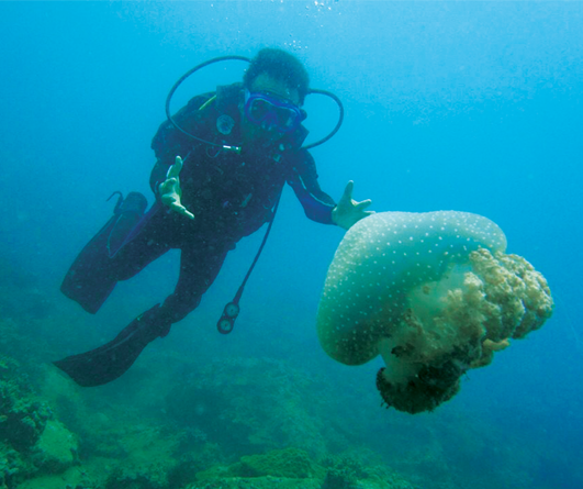 Thử thách mới: Lặn xuống đáy biển
